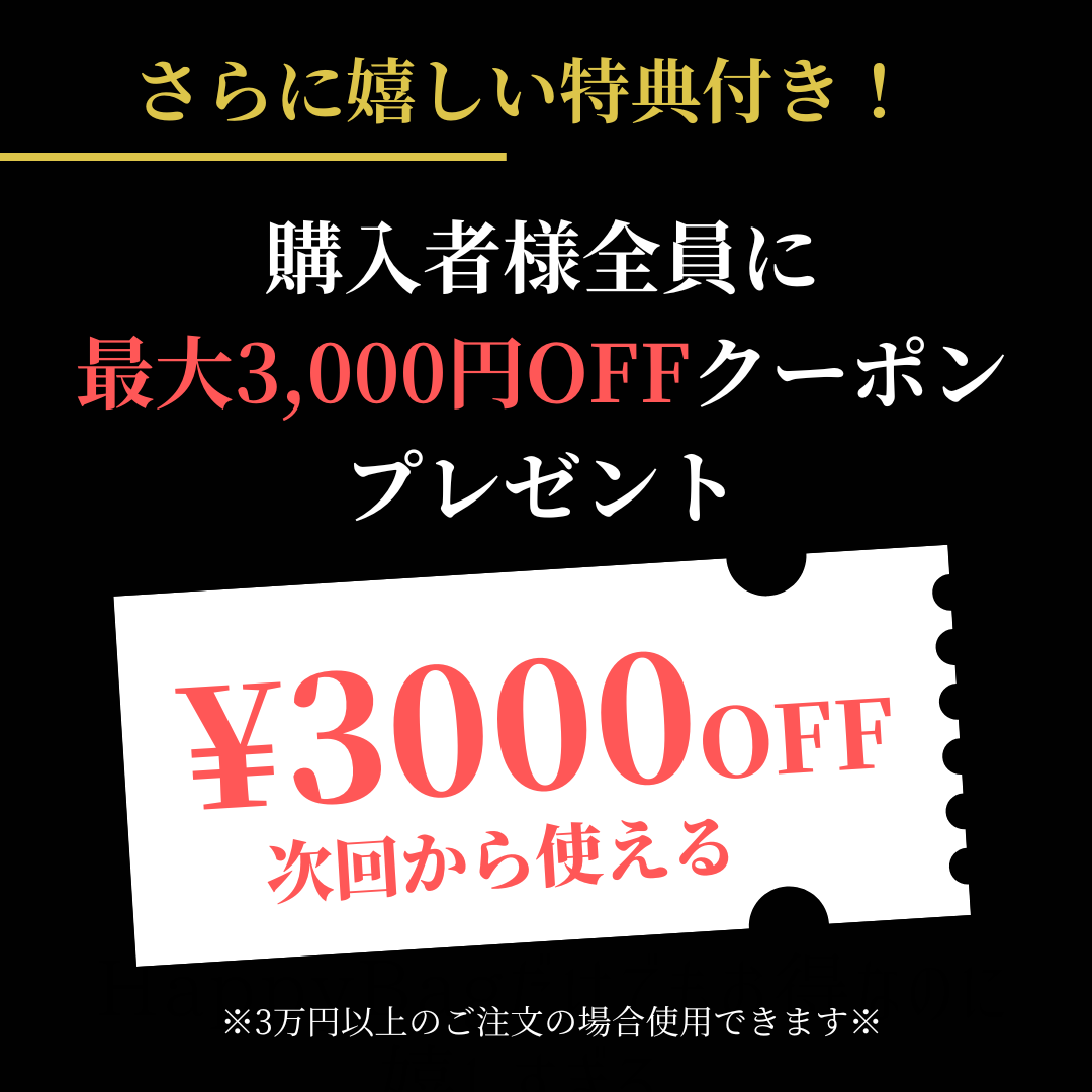 超数量限定!SUMMER HAPPY BAG