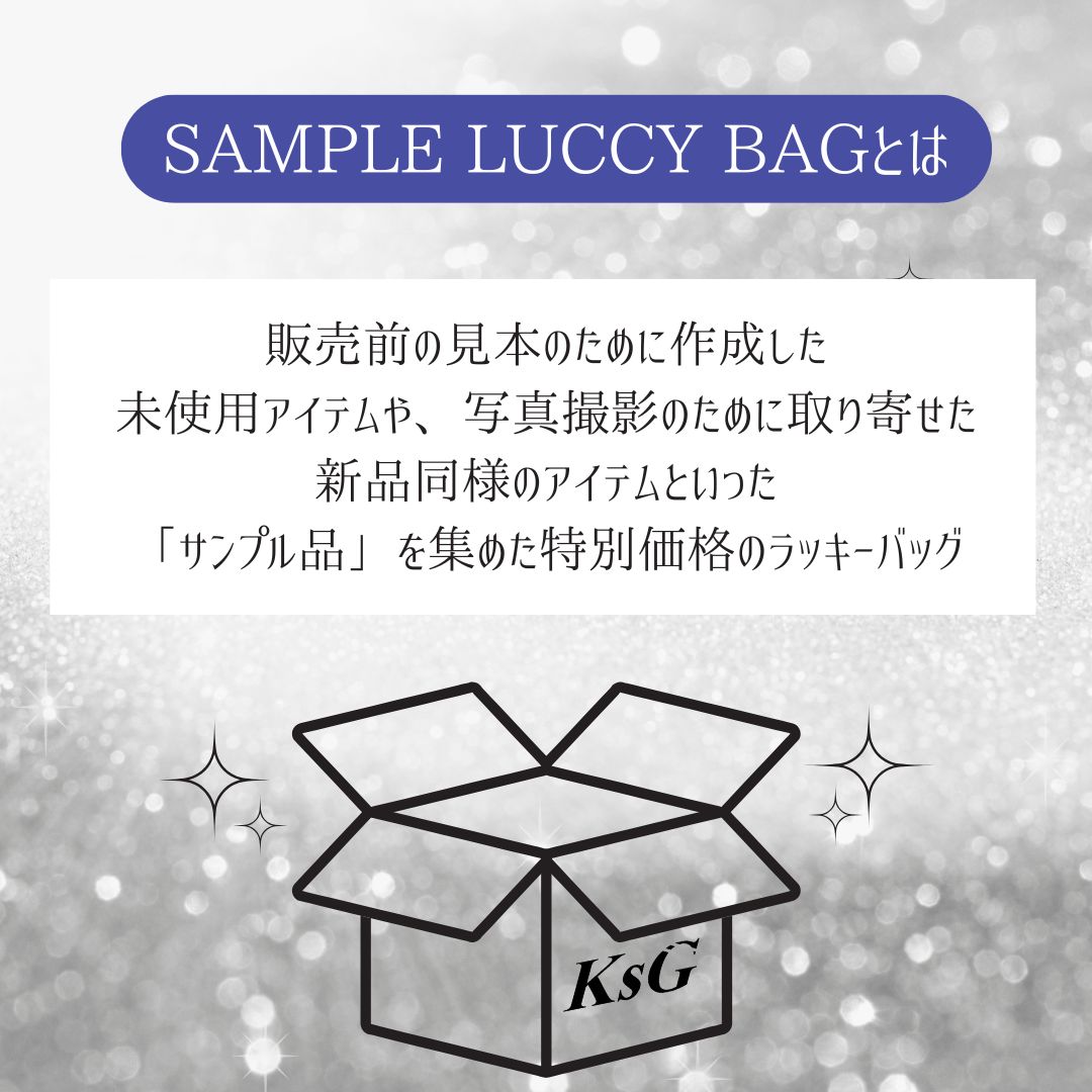 【1着3000円でゲット🎵】AW SAMPLE LUCCY BAG