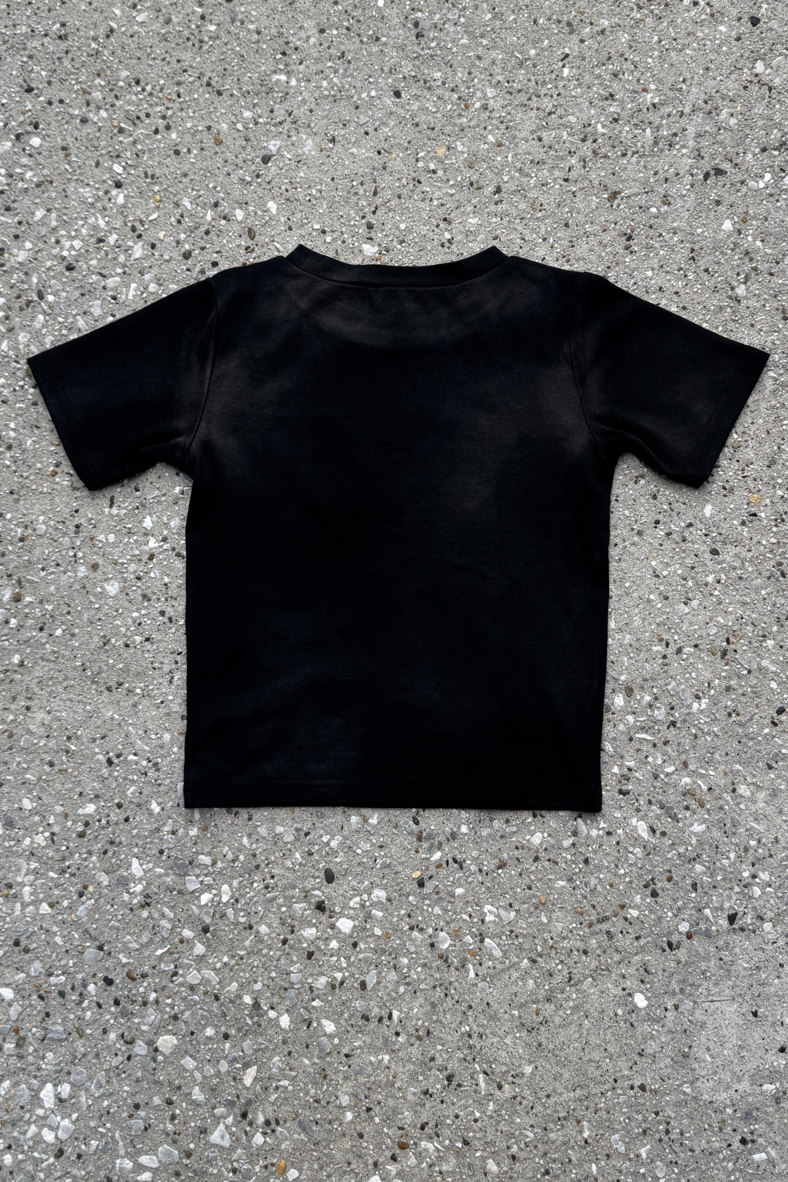 ダメージロゴクロップドTシャツ KSG20932