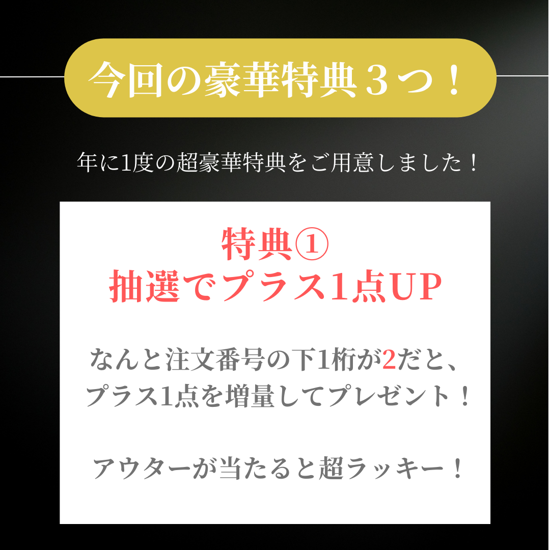 【12/28 21:00~再販売】2024福袋Aセット