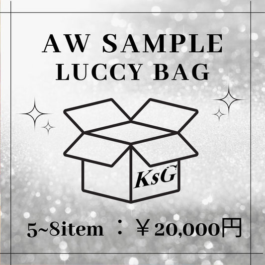 【1着3000円でゲット🎵】SAMPLE LUCCY BAG