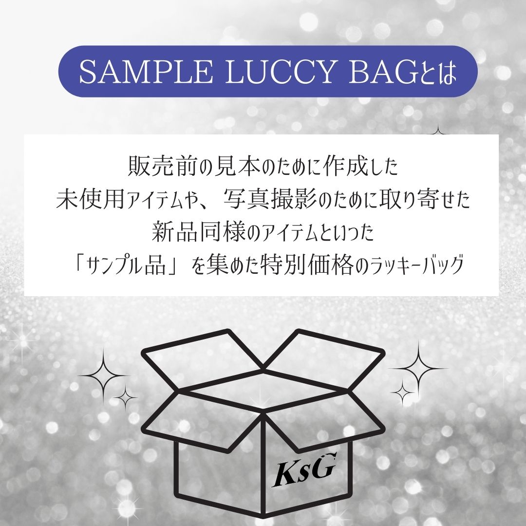【1着3000円でゲット🎵】SAMPLE LUCCY BAG