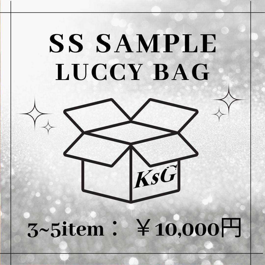 【1着3000円でゲット🎵】SAMPLE LUCCY BAG