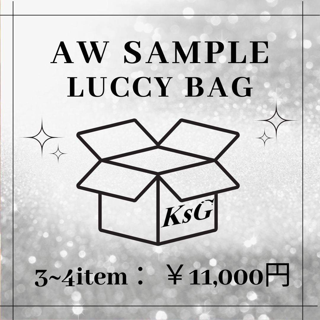 【1着3000円でゲット🎵】SAMPLE LUCCY BAG