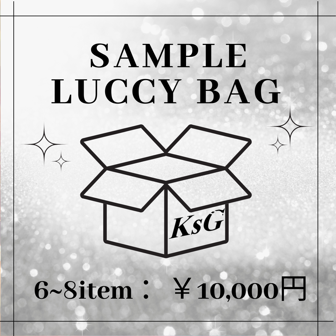 【1着1000円でゲット🎵】SAMPLE LUCCY BAG