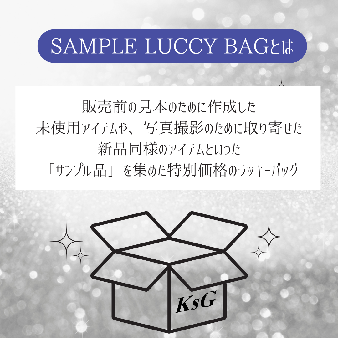【1着1000円でゲット🎵】SAMPLE LUCCY BAG
