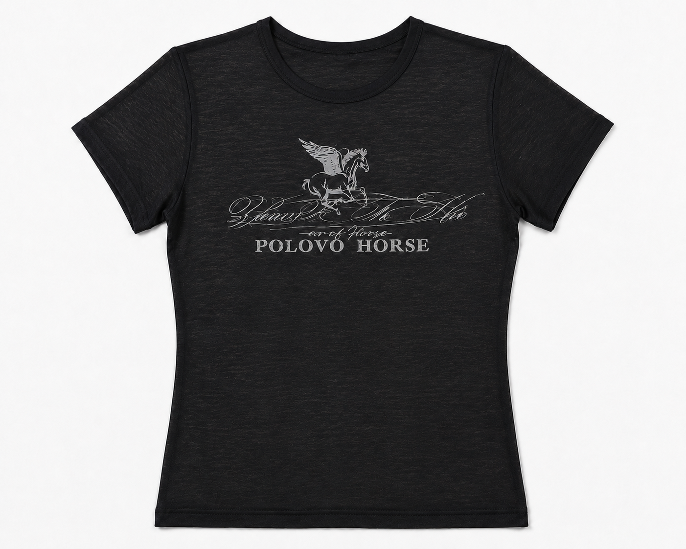 フロントデザインTシャツ KSG21382