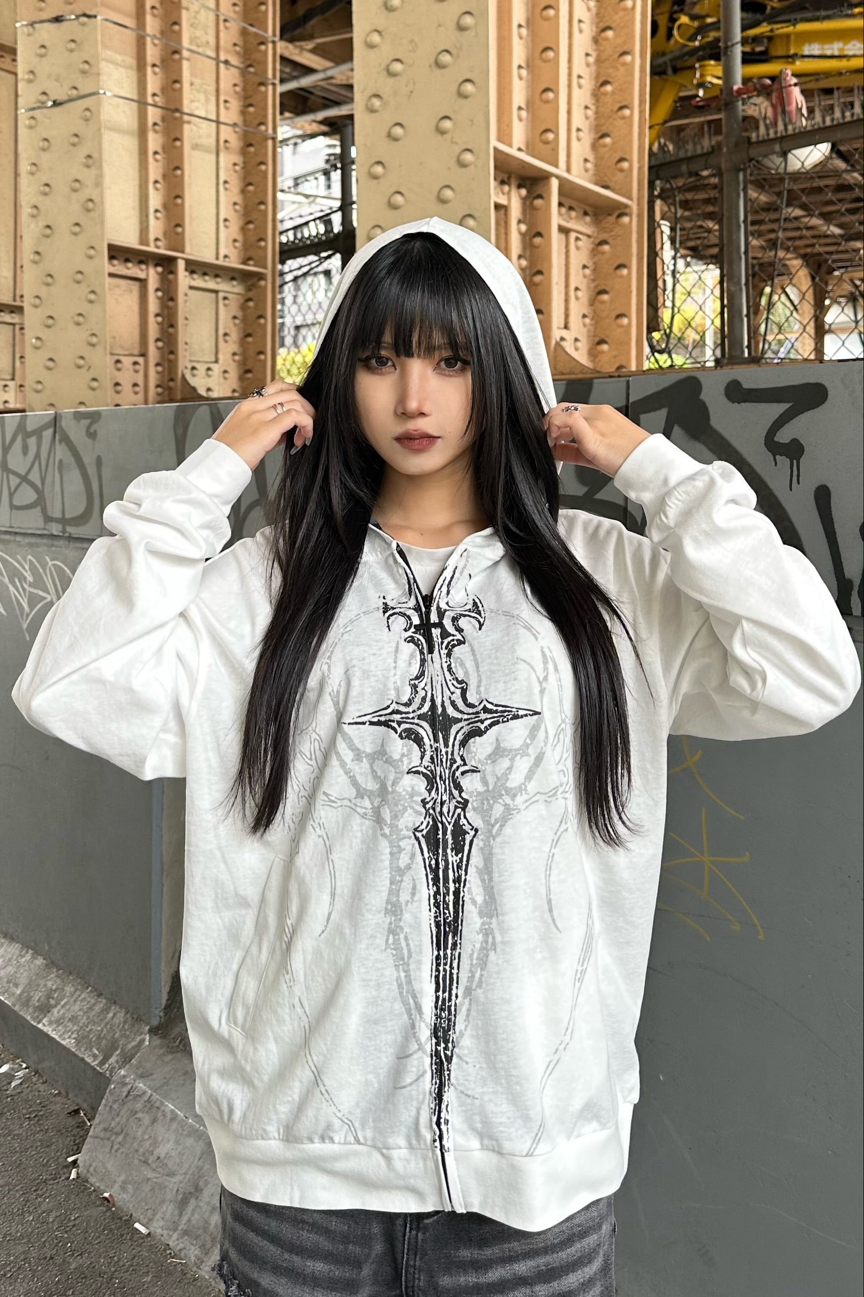 ボーダーライナーグラフィックパーカー KSG21150